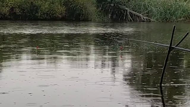 Карась НЕ КЛЮЁТ на ПРОСТУЮ ПЕРЛОВКУ, ему подавай АРОМАТИЗИРОВАННУЮ! Эксперимент с насадками – День смотреть онлайн