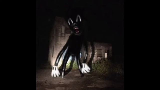 Звуки Cartoon Cat