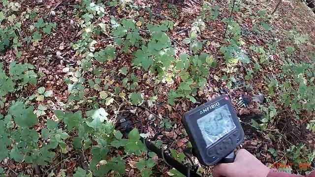 #91 Анфибио Мульти - Кольцевая монета смотреть онлайн