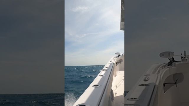 33 Invincible Cat Running Offshore in 3 5 Ft Seas