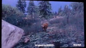 Где найти лофофоры  в GTA V