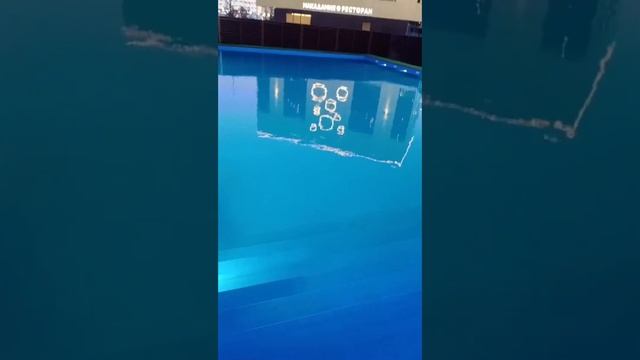 Строительство общественного бассейна в Москве  - Термоленд в  Бутово .