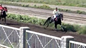 Жорга жарыс 7 км победитель жеребец Рим. Ипподром Кулагер город Петропавловск. С.К.О.