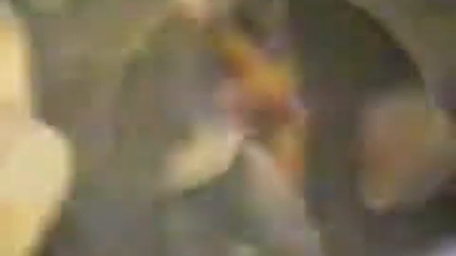 Вращающаяся печь Дидион