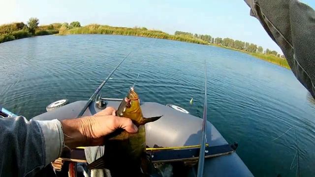 Ловля линя на поплавочную удочку и щуки на спиннинг . смотреть онлайн