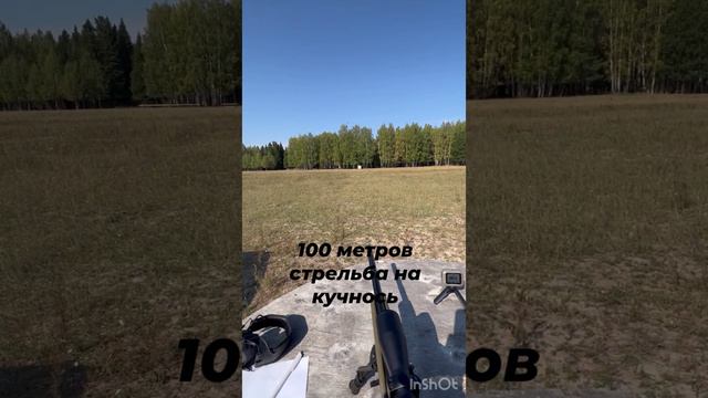 Стрельба на кучность