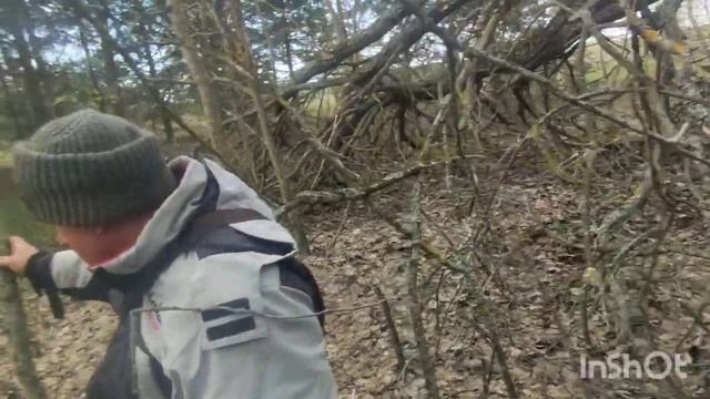 Собираем сморчки смотреть онлайн