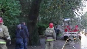 По Новгородской области пронесся смерч, а на Сахалине бурей выбросило на берег тонны морепродуктов