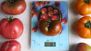 Томат Заржавевшее сердце Эверетта. Эталон томатного вкуса!