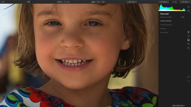 Luminar 4 Environmental Portrait смотреть онлайн