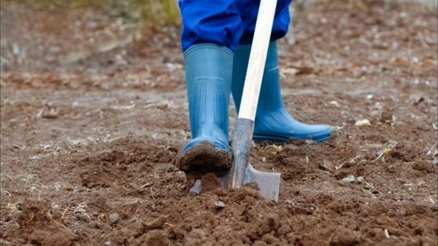 Весенняя подготовка почвы. Перекопка. Какие правила нужно соблюдать