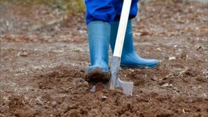 Весенняя подготовка почвы. Перекопка. Какие правила нужно соблюдать