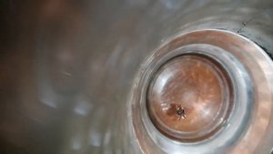 Как избавиться от клеща за 1 минуту