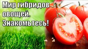 Нужен урожай? Выбираем качественные семена!