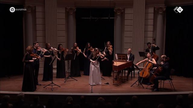 Locatelli: Violin Concerto Op. 3 No. 1 - Lisa Jacobs and The String Solists - Live Concert HD