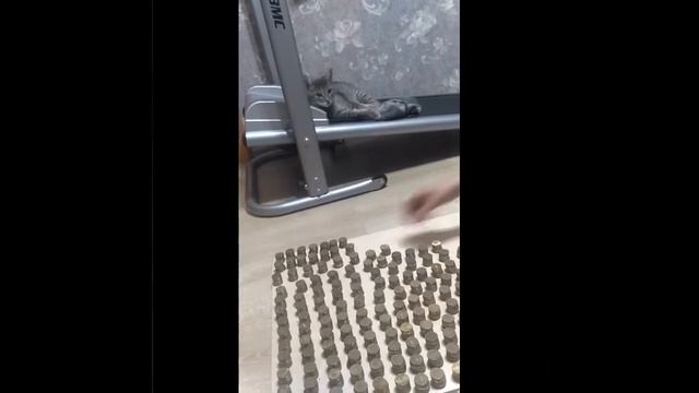 Сколько десяток в 3 литровой банке.moneybox.часть 2 смотреть онлайн