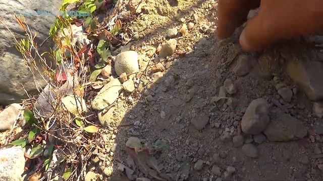 Камень обсидиан найден смотреть онлайн