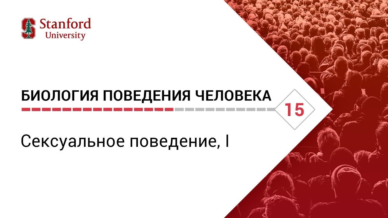 Биология поведения человека_Лекция #15. Репродуктивное поведение, I [Роберт Сапольски.2010.Стенфорд]
