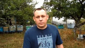 Как защитить рамки от восковой моли!!!