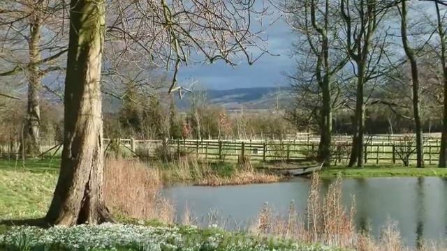 Подснежник для любимой смотреть онлайн