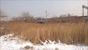 Седанка , пригород Владивостока