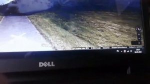 НАШЁЛ МОНСТРА НА ГУГЛ КАРТАХ! |НЕ КЛИКБЕЙТ!| ГУГЛ КАРТЫ/GOOGLE MAPS