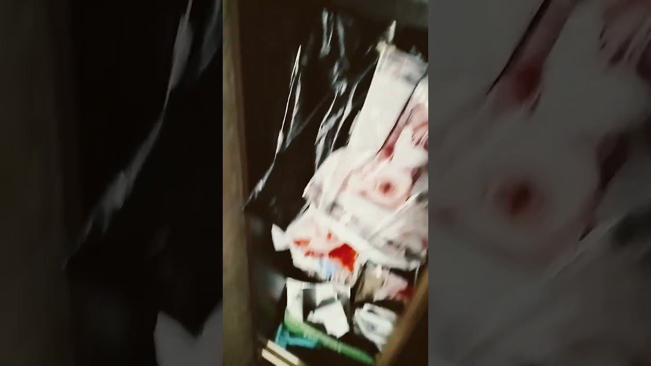 2 августа 2024 г. смотреть онлайн