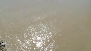 Гладилка для бетона