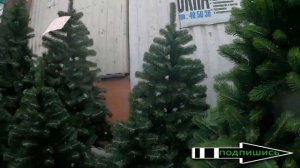 ?Подготовка к Новому году?Стоимость ёлок ?Покупка ёлки?Preparation for the New Year.