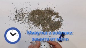 Защита от моли. Помогает ли лаванда? - Минутка о войлоке