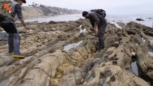 ГИГАНТСКИЙ СЛИЗНЯК! (Самый большой на планете) Койот Питерсон на русском