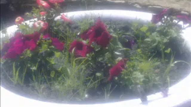 Сабантуй с. Лямбирь.wmv смотреть онлайн