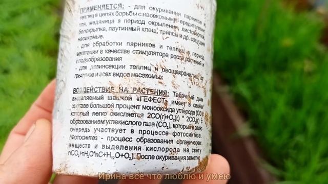 Как обработать теплицу ТАБАЧНОЙ ШАШКОЙ? ?