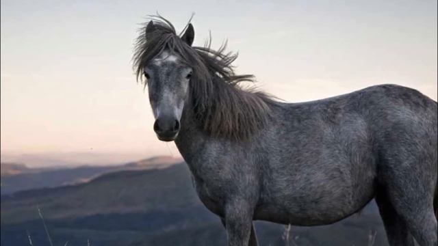 Изумруд. Краткое содержание смотреть онлайн