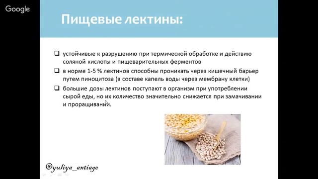 Лектины смотреть онлайн