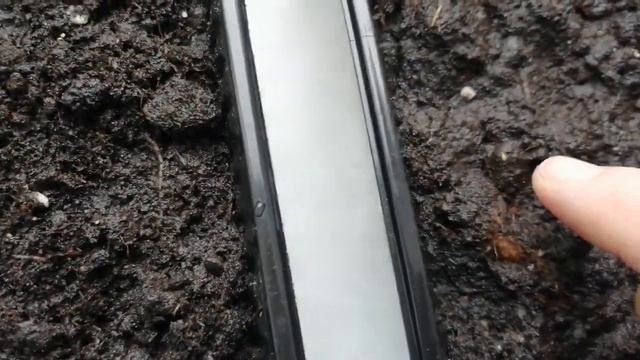 Семена дыни проросли неожиданно быстро смотреть онлайн