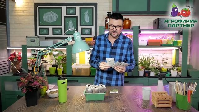 КАК И КОГДА СЕЯТЬ ОГУРЦЫ смотреть онлайн