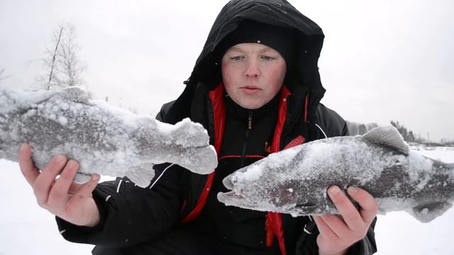Три Пескаря !!! смотреть онлайн