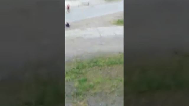 Красноярский край.Игарка.приезжие рос гвардейцы смотреть онлайн