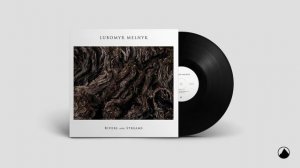 Lubomyr Melnyk - The Pool of Memories