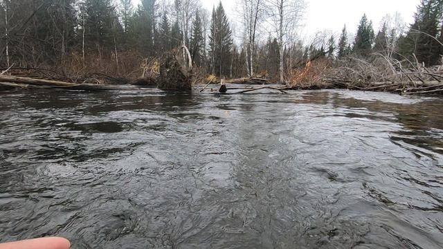 Рыбалка, ловля хариуса на маховое удилище .