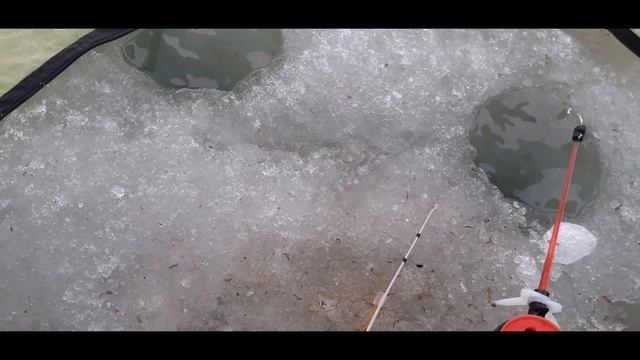 Ловля подуста по последнему льду в начале Апреля смотреть онлайн