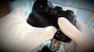 PANASONIC LUMIX DC-FZ1000 II vs PANASONIC LUMIX DMC-FZ8