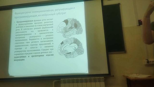Психофизиология речи и мышления