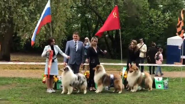 9.05.2019 ЛУЧШИЙ ЮНИОР КОБЕЛЬ смотреть онлайн