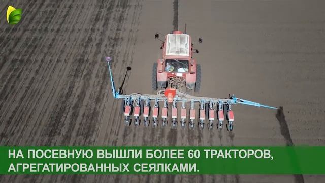 Компания «Прогресс Агро» приступила к севу подсолнечника и кукурузы