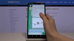 Как разблокировать пользователя в WhatsApp? / Убрать из чёрного списка