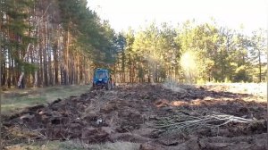 Пахота огорода! Поднимаем целину трактором!!