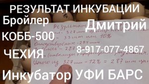 РЕЗУЛЬТАТ ИНКУБАЦИИ. ИНКУБАТОР УФИ- БАРС