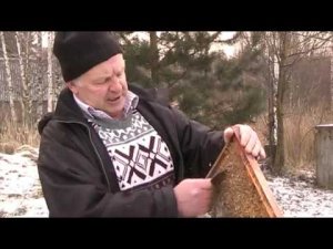 НЕТ ВОЩИНЫ для пчел  ЧТО ДЕЛАТЬ?